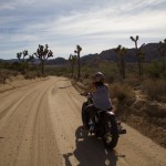 (Theresa Contreras in Joshua Tree State Park)