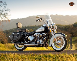 russ_brown_attorney_harley_davidson_akjjhdh_law